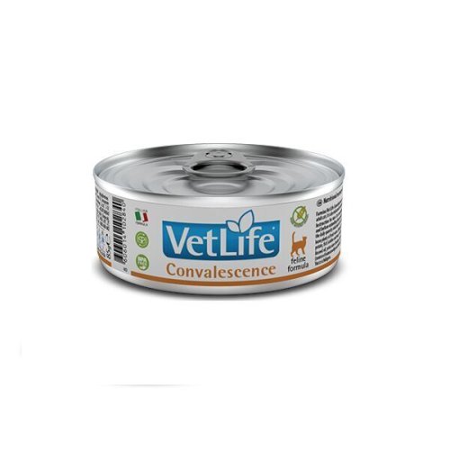 Вологий корм Farmina Cat Vet Life Convalescence для котів відновлення - 85 г